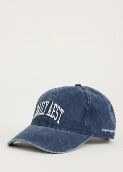 Denim pet