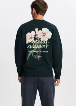 Sweater coastal scenery