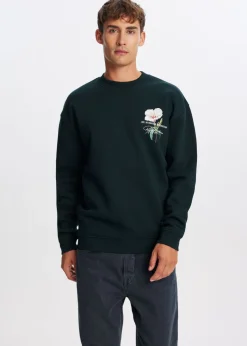 Sweater coastal scenery