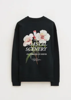 Sweater coastal scenery