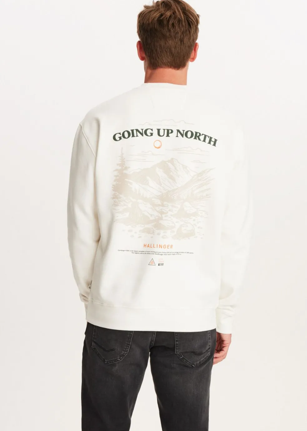 Sweater met print north